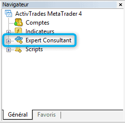 Navigateur - Expert Consultant