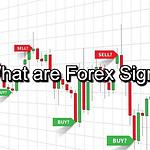 What are Forex Signals, and how do they actually work?